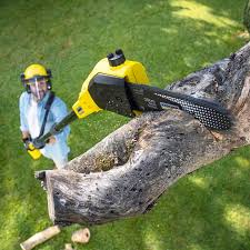 Best Tree Removal  in Pleasant Run Farm, OH